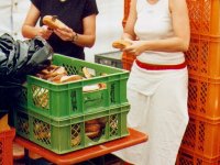 2004